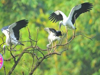 Tour Hà Nam - Ninh Bình 2N1Đ