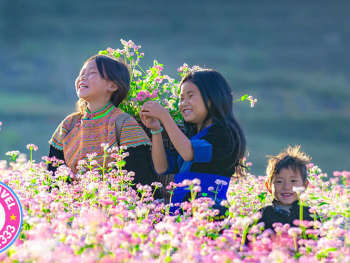 Tour ghép đoàn Hà Giang 3 ngày 2 đêm