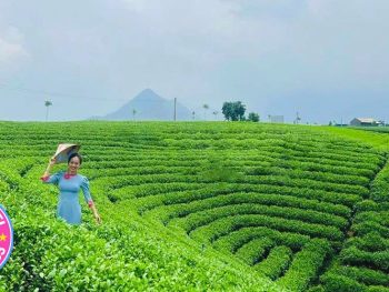 Tour Thái Nguyên - Tuyên Quang 3N2Đ