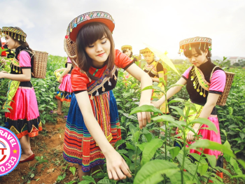 Tour Mai Châu - Mộc Châu 3N2Đ