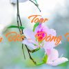 Tour Tây Bắc - Đông Bắc 7N6Đ