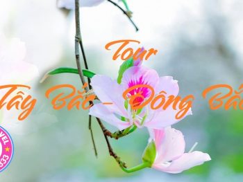 Tour Tây Bắc - Đông Bắc 7N6Đ