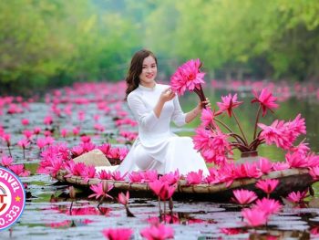 Tour chùa Hương - đền đức thánh cả