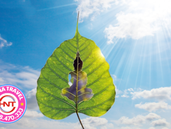 Tour chùa Liên Trì - chùa Thày - chùa Khai Nguyên 1 ngày