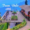 Tour Tam Đảo - Tây Thiên